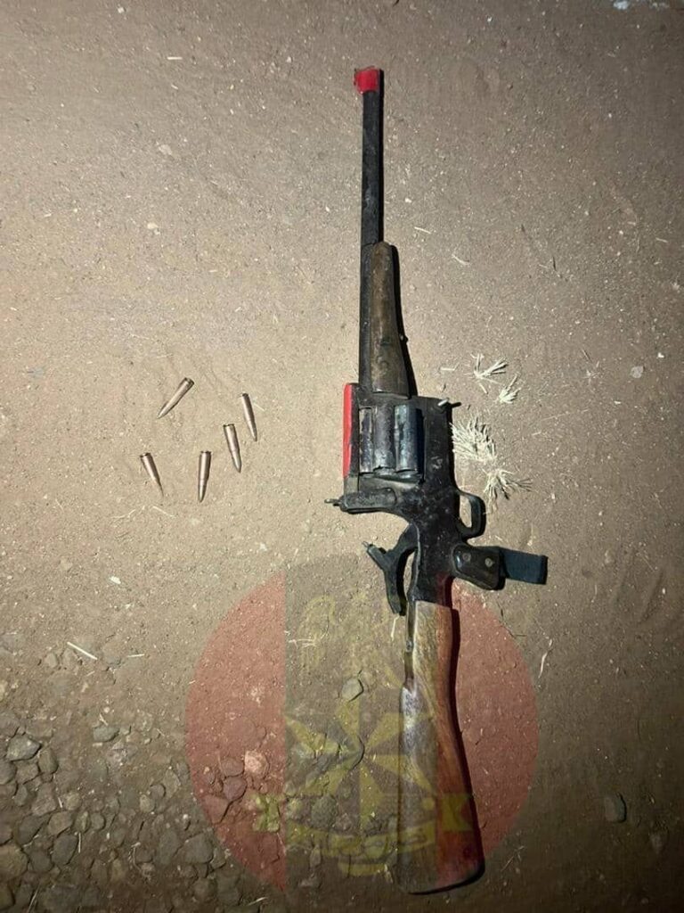 Troops Kill Seven Suspected Criminals, Rescue Kidnap Victim in Kaduna - Army
