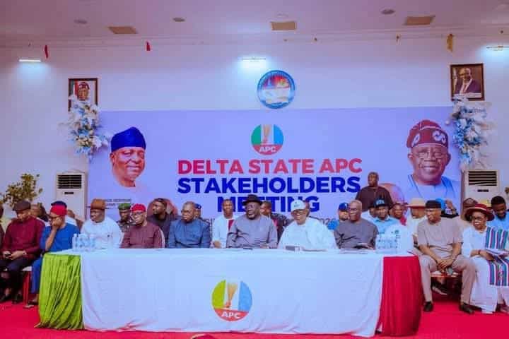 Delta APC Stakeholders Meeting: Elumelu Lauds Oborevwori’s Inclusive Leadership, Calls for Sustained Unity, Registration Ahead of APC Congresses