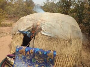 Zamfara Offensive: Troops Kill 6 Terrorists, Rescue Kidnapped Girl in Forest Raid 