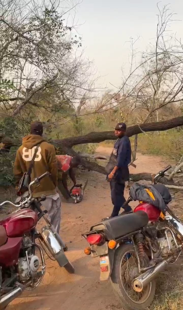 Two Customs Officers Shot in Ogun Anti-Smuggling Operation
