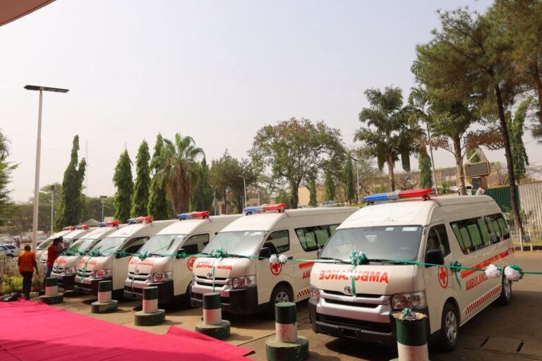 Snakebite Tragedy: FCTA Moves to Prevent More Deaths, Deploys 12 Ambulances