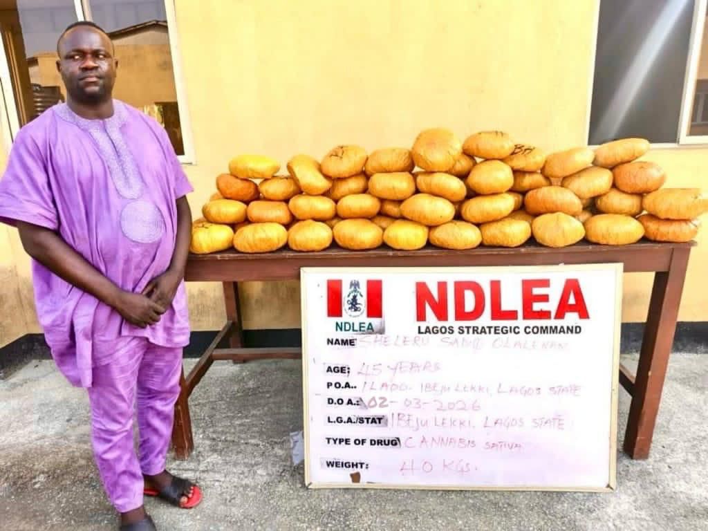 NDLEA arrests ex-Lagos councillor with drugs, intercepts narcotics in baby diapers
