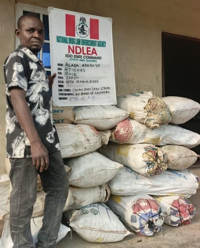 NDLEA arrests ex-Lagos councillor with drugs, intercepts narcotics in baby diapers