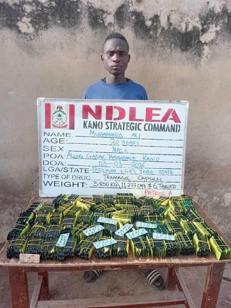 NDLEA arrests ex-Lagos councillor with drugs, intercepts narcotics in baby diapers