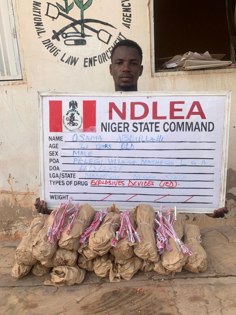 NDLEA arrests ex-Lagos councillor with drugs, intercepts narcotics in baby diapers