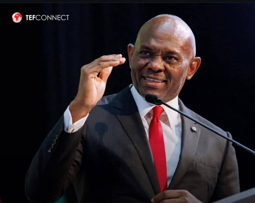 Ndudi Elumelu Pens Emotional Tribute to Brother Tony Elumelu, Celebrating a Legacy That Inspires Millions Across Africa