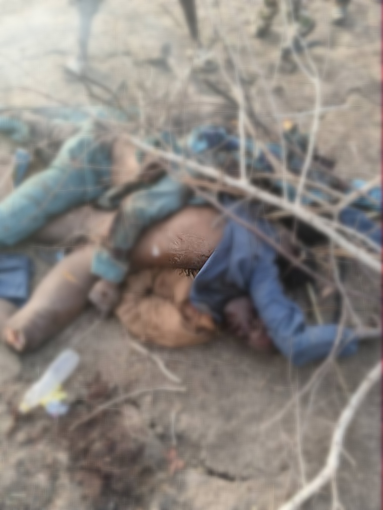 Troops Kill 38 ISWAP Fighters, Crush Major Attack in Borno
‎