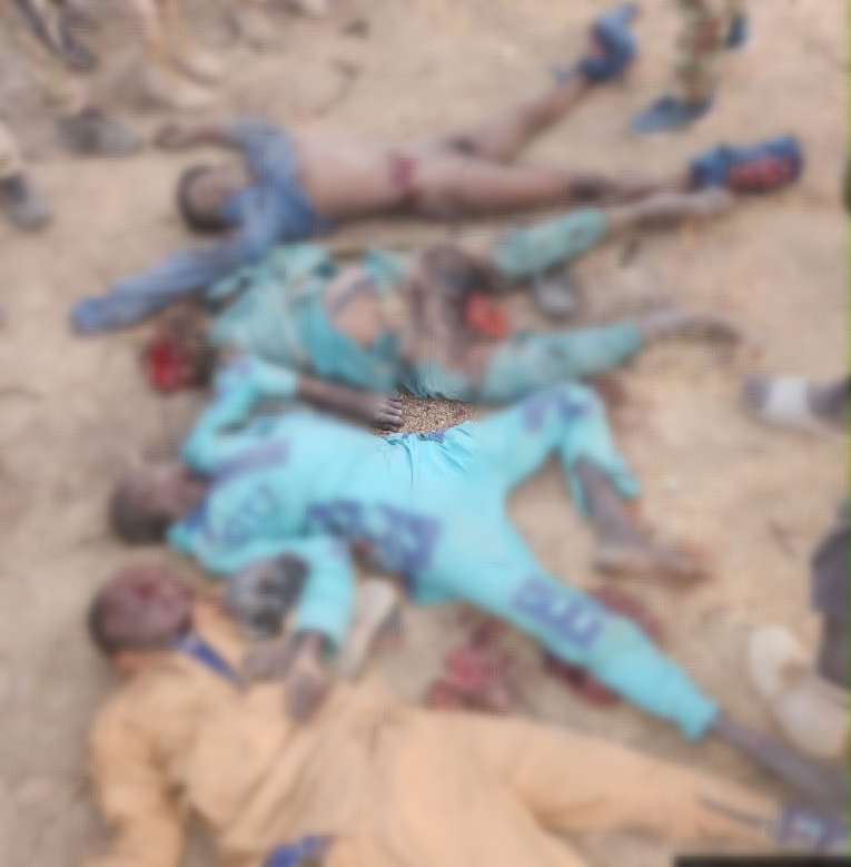 Troops Kill 38 ISWAP Fighters, Crush Major Attack in Borno  ‎