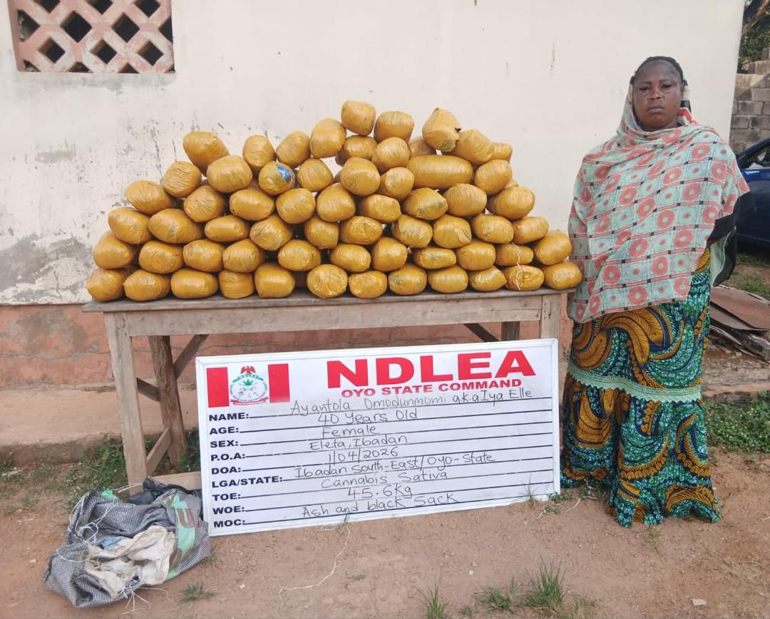 NDLEA uncovers cocaine in palm kernel oil cans, arrests kingpin in Lagos hideout