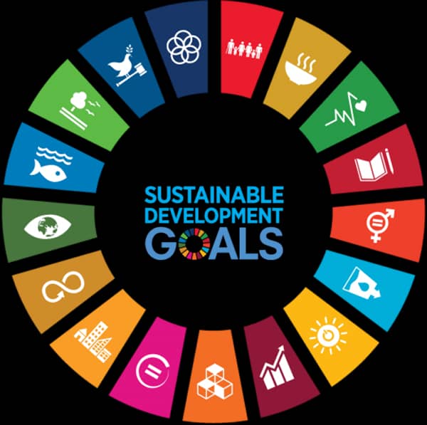 Uzodimma Appoints Top Lawyer, Owuamalam As Special Adviser On SDGs
