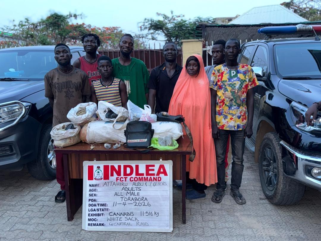 93-Year-Old Great Grandpa, Medical Doctor Nabbed as NDLEA Uncovers Massive Drug Network Nationwide