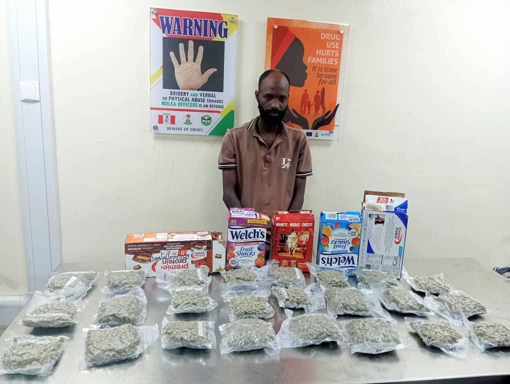11 Drug Kingpins Jailed 254 Years As NDLEA Secures 974 Convictions In Three Months