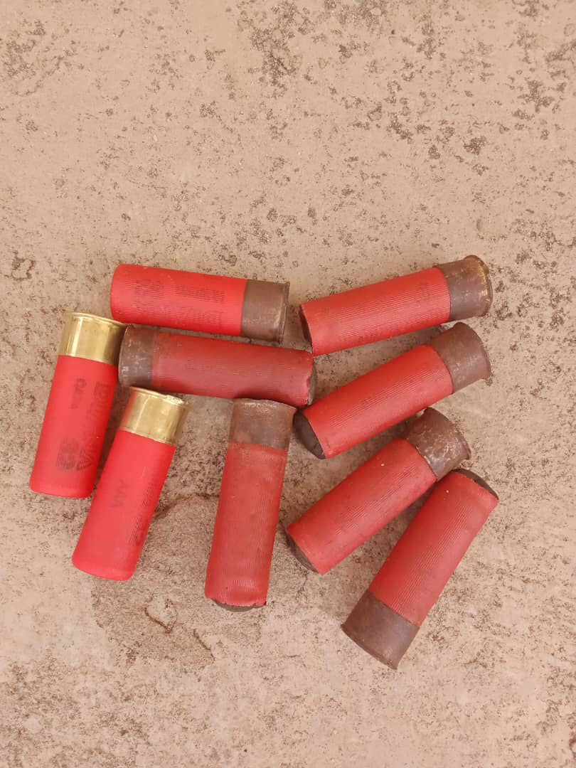 Ogun Police Nab Four Suspects, Recover Firearms, Cartridges In Crackdown Across Three Towns