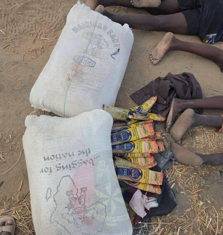 Troops neutralise terrorists, arrest suspects, record surrender in North-East offensive
