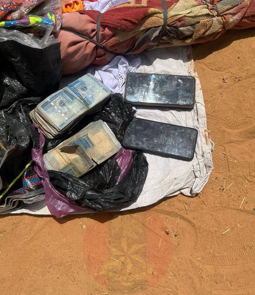 Troops neutralise terrorists, arrest suspects, record surrender in North-East offensive
