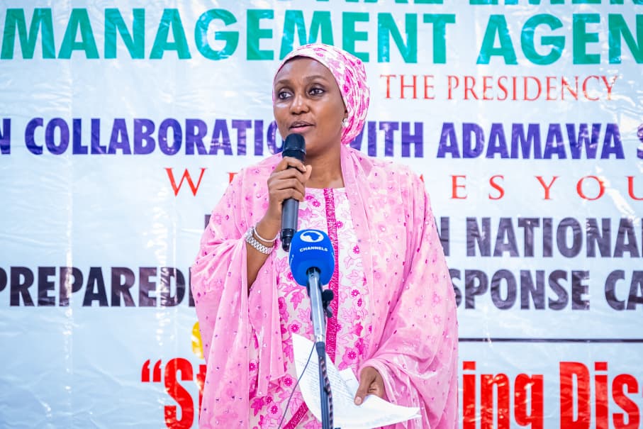DG NEMA Urges States to Commence Early Action Against Predicted Flooding 