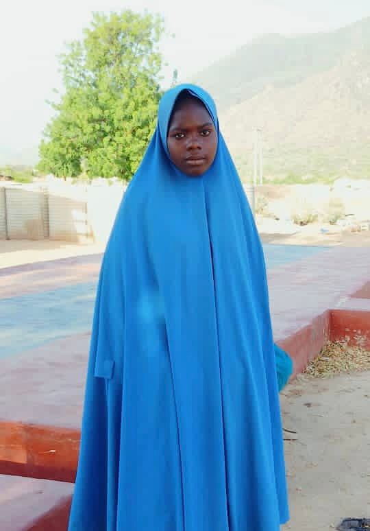 Troops Rescue Six Abductees, Arrest Suspected Boko Haram Collaborators in Borno, Yobe
‎