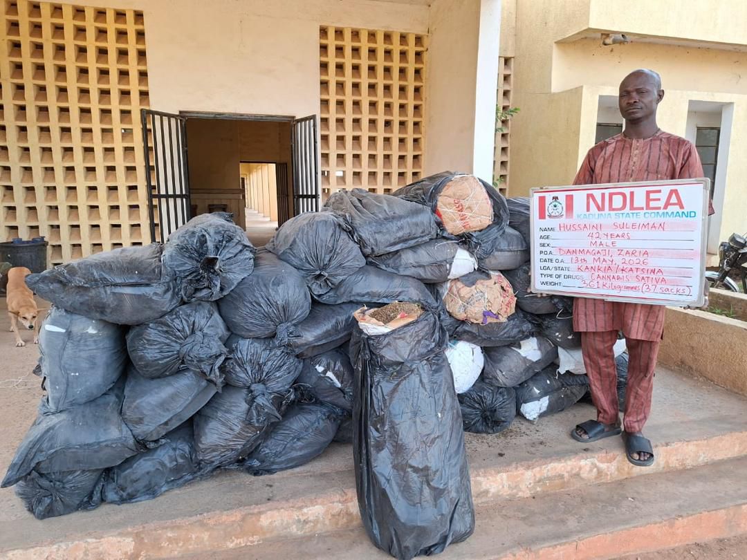 NDLEA Intercepts UK, Australia-Bound Cocaine, Opioids Hidden In Carton Walls, Destroys 65,000kg Skunk In Delta
‎