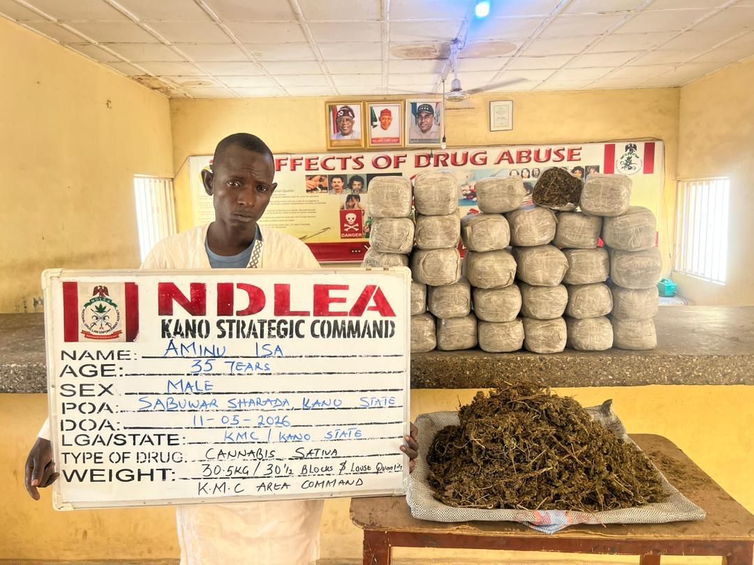 NDLEA Intercepts UK, Australia-Bound Cocaine, Opioids Hidden In Carton Walls, Destroys 65,000kg Skunk In Delta
‎