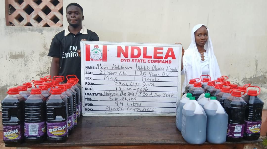 NDLEA Intercepts UK, Australia-Bound Cocaine, Opioids Hidden In Carton Walls, Destroys 65,000kg Skunk In Delta
‎