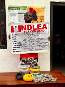 NDLEA Intercepts UK, Australia-Bound Cocaine, Opioids Hidden In Carton Walls, Destroys 65,000kg Skunk In Delta
‎