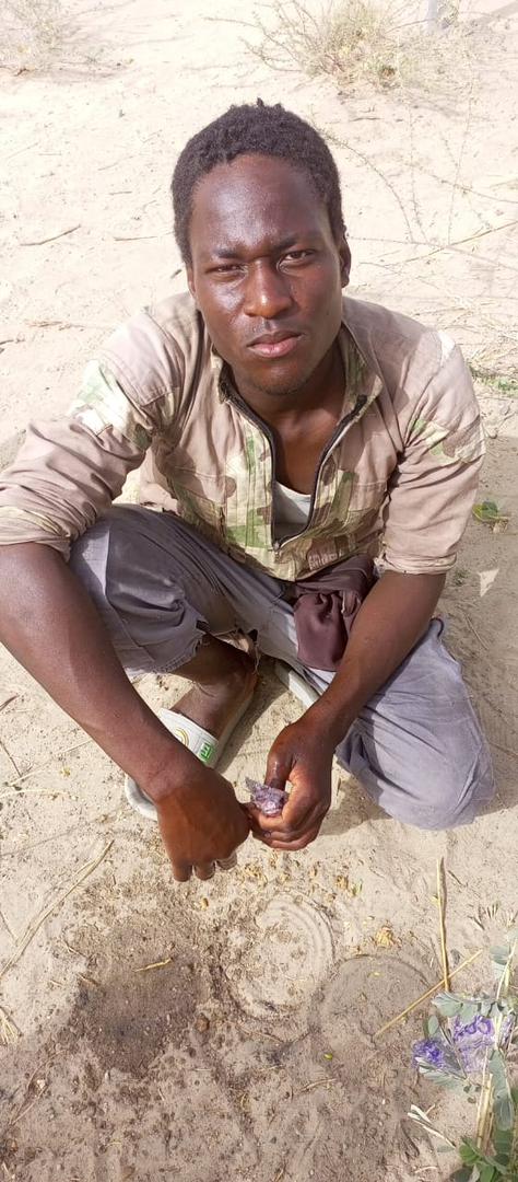 Troops neutralise terrorists, rescue abducted victims in North East operations