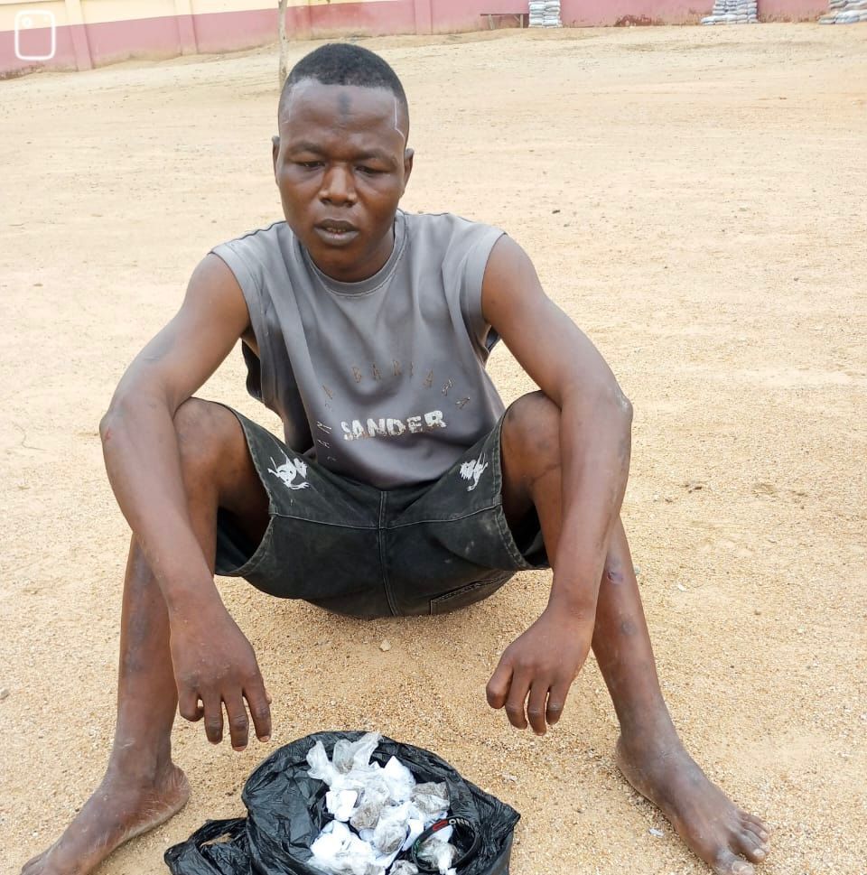 Troops Foil Terror Attacks, Neutralise Insurgents, Rescue Abductees In North-East