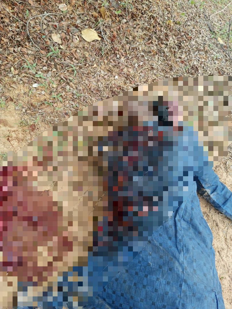 Troops Foil Terror Attacks, Neutralise Insurgents, Rescue Abductees In North-East