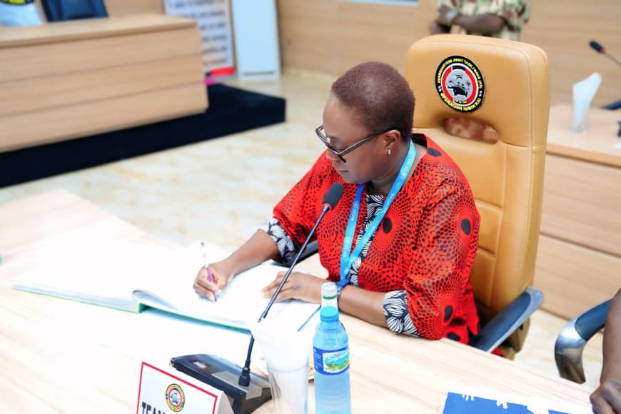 Chad Basin National Park, UN OCHA Strengthen Collaboration With Operation Hadin Kai