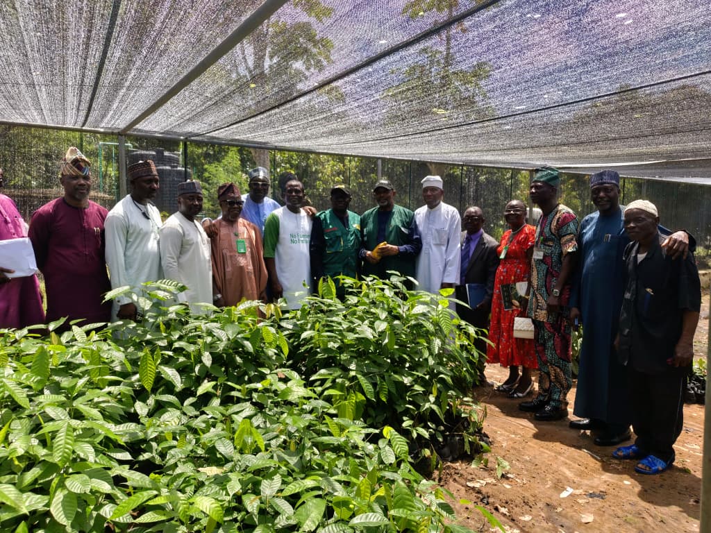 FG Launches One Million Climate-Smart Cocoa Seedlings to Boost Exports, Jobs