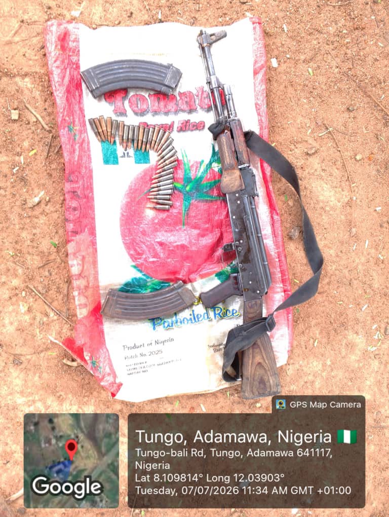 Troops Rescue Two Abductees, Recover Suspected N1.2m Ransom in Borno