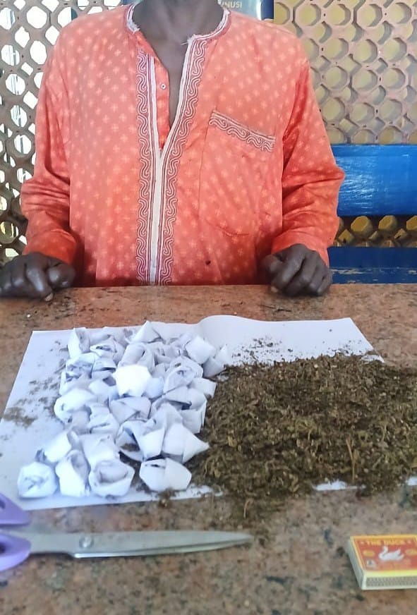 Jigawa Police Arrest Suspected Vandals, Cattle Rustlers, Drug Dealers, Recover 3,427 Illicit Drugs
