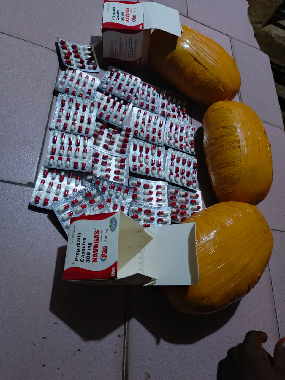 Jigawa Police Arrest Suspected Vandals, Cattle Rustlers, Drug Dealers, Recover 3,427 Illicit Drugs
