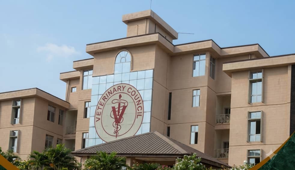Strengthening Nigeria's Economy Through Quality Veterinary Regulation
