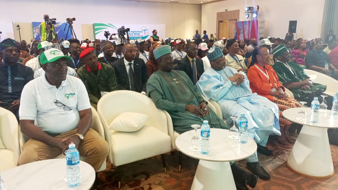 Experts advocate innovation, investment to boost Nigeria's food security at Africa Agriculture Science Week
