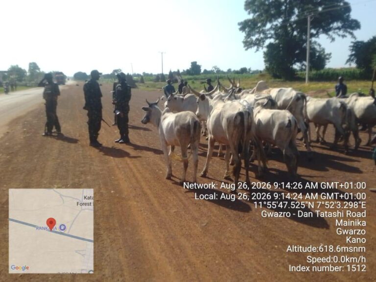 Troops Rescue Two Kidnap Victims, Recover 94 Rustled Livestock in Kaduna, Kano