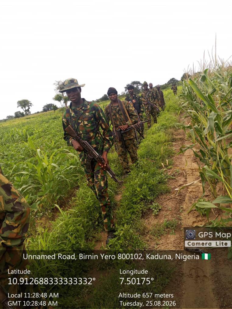 Troops Rescue Two Kidnap Victims, Recover 94 Rustled Livestock in Kaduna, Kano