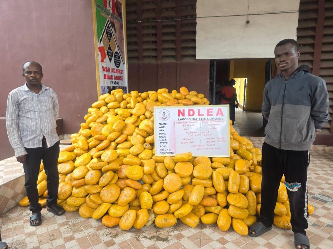 Herbal tea dealer behind Saudi cocaine shipments arrested in Lagos
