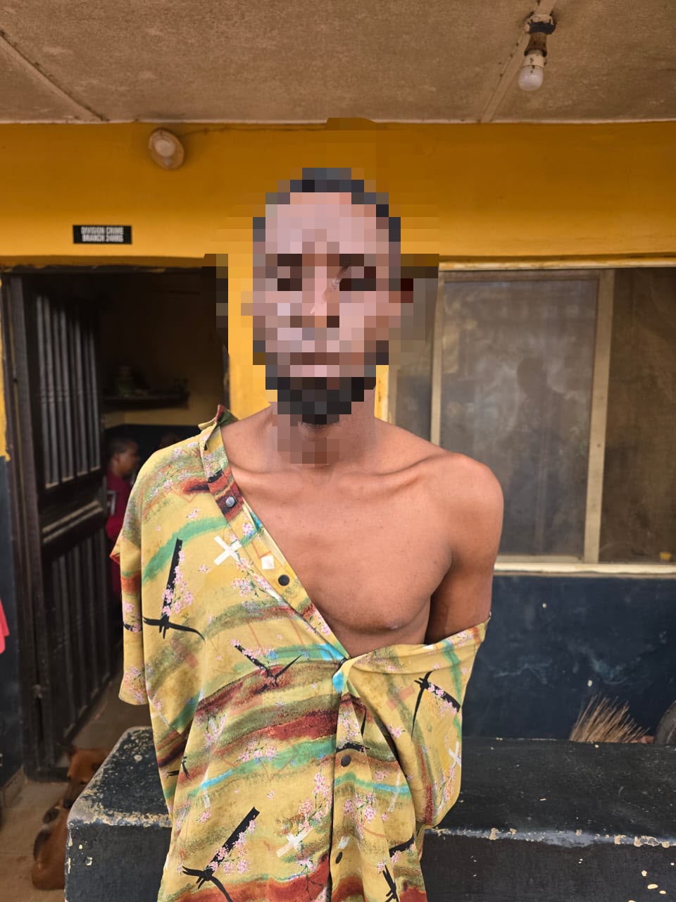 IMG-20260913-WA0011