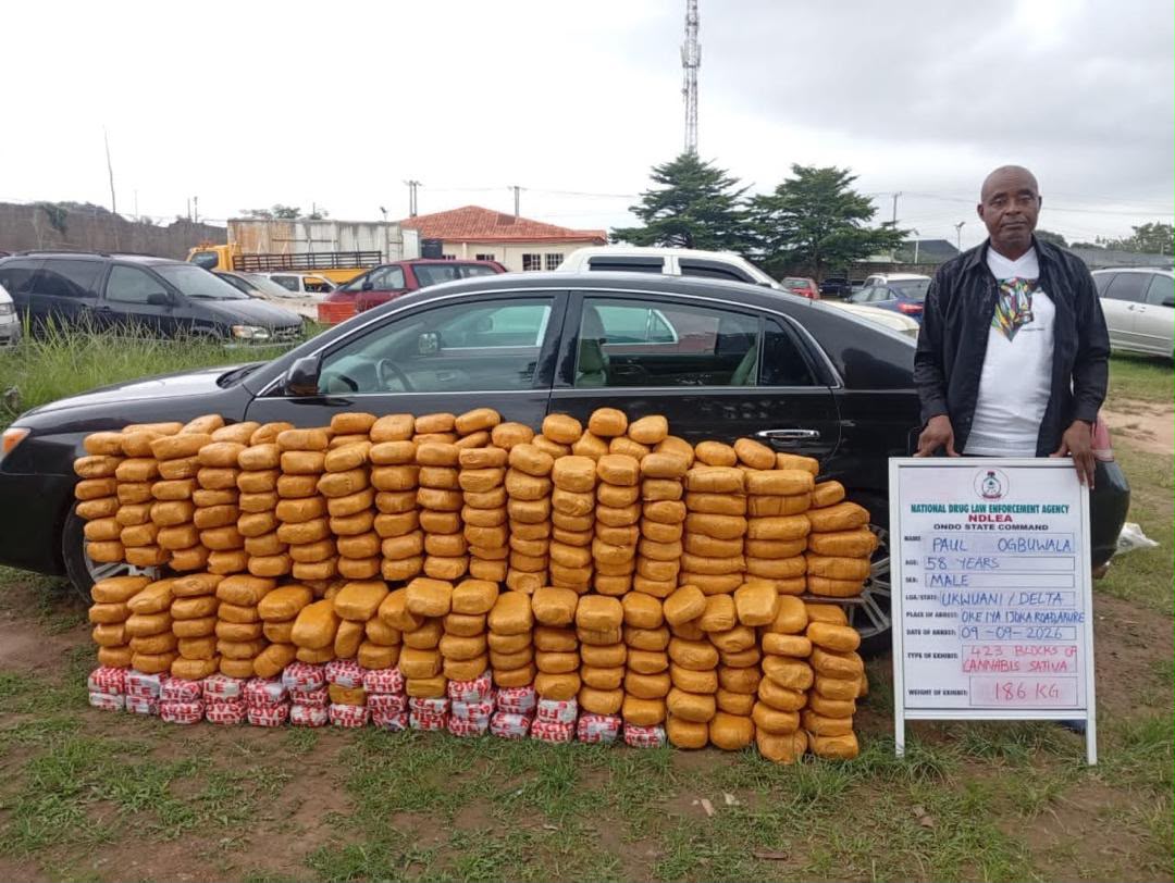NDLEA Intercepts UK Colos Shipments, Finds Drugs Hidden In Bread, Speakers