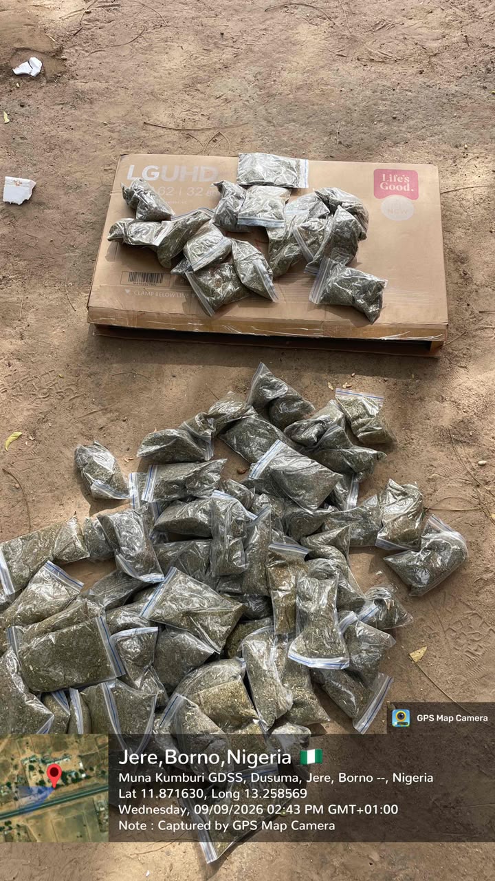 Troops arrest three suspected drug peddlers, recover 92 parcels of Colorado in Borno