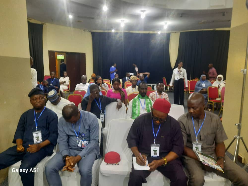 Kogo: Nigeria Must Revisit Its History to Understand Its Democratic Journey