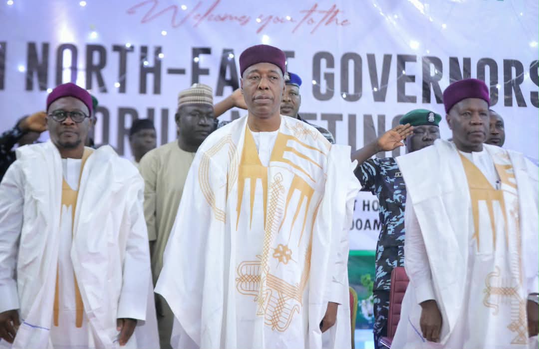 Zulum commends Tinubu for reviving Kolmani oil exploration, urges Borno’s oil field work revived
