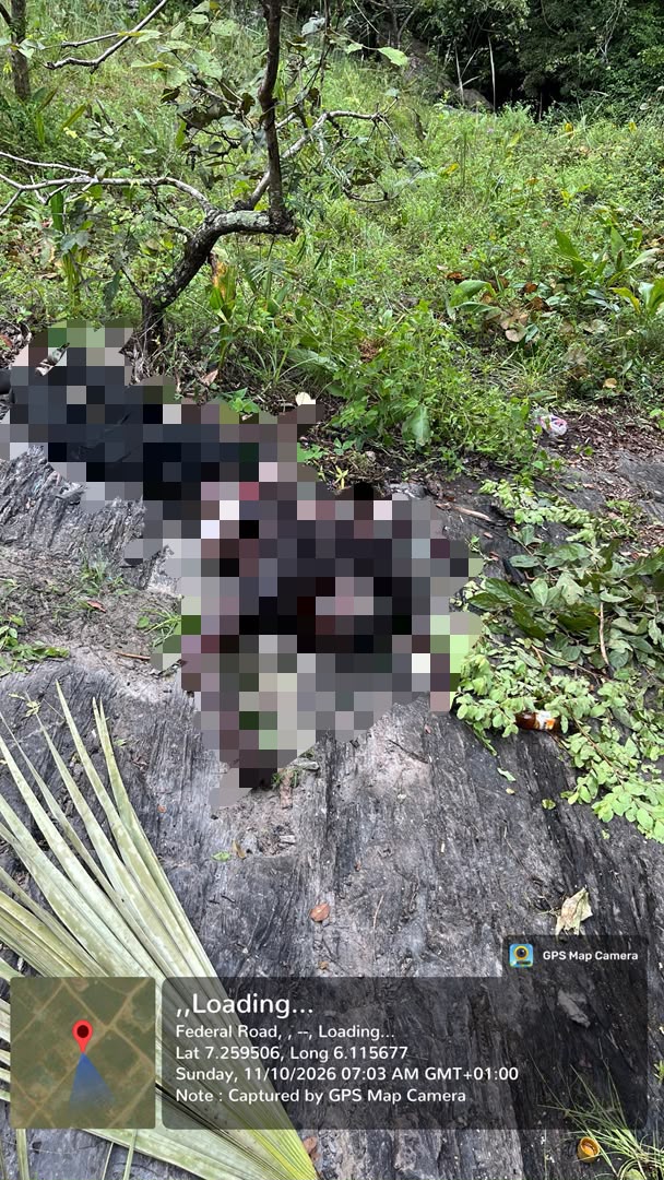 Troops Kill Three Kidnappers, Rescue Victim in Edo Forest