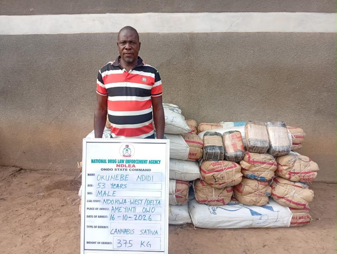 NDLEA Seizes N7bn Tramadol, Arrests 85-Year-Old Woman
