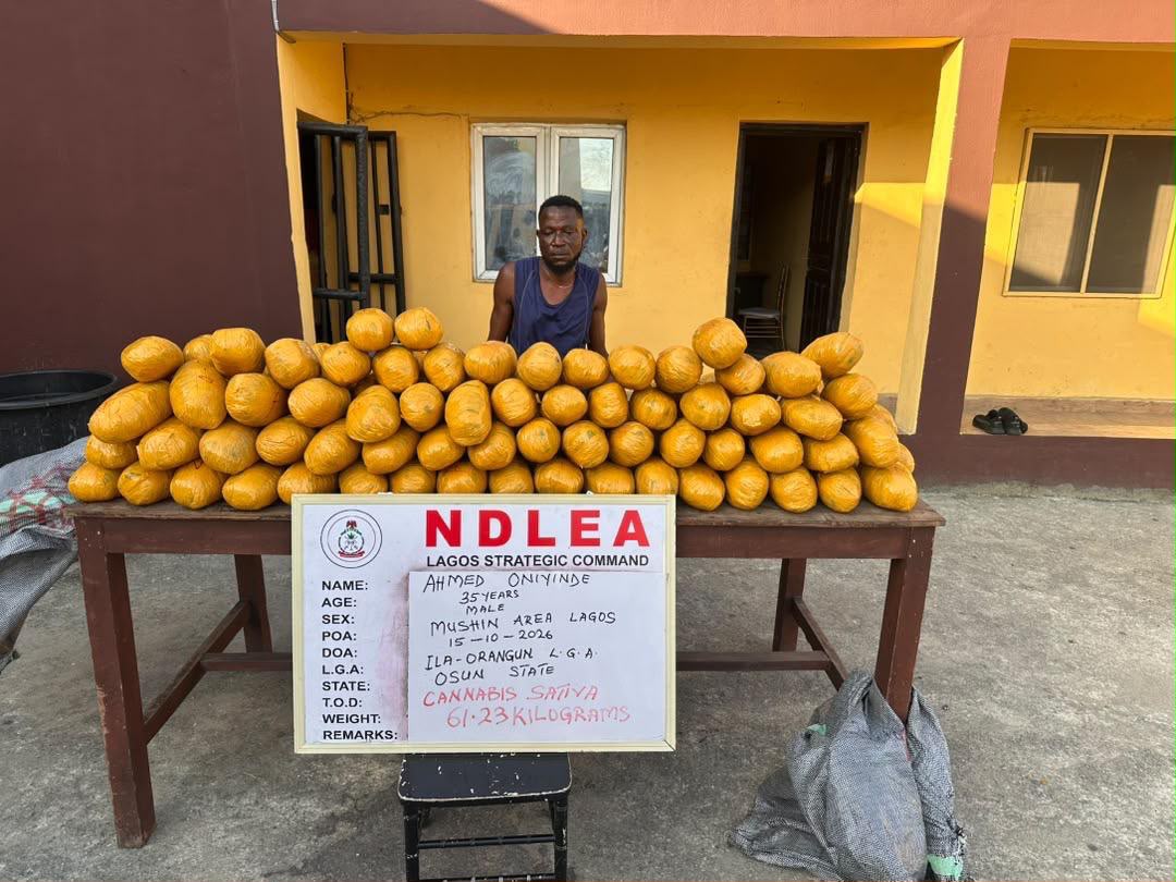 NDLEA Seizes N7bn Tramadol, Arrests 85-Year-Old Woman
