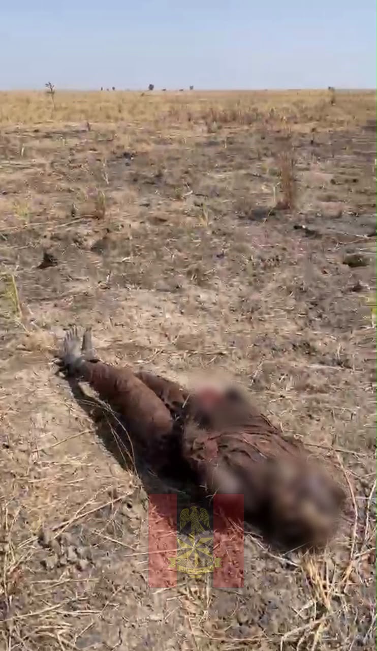 Troops Kill 15 Terroriists in Borno Airstrike 