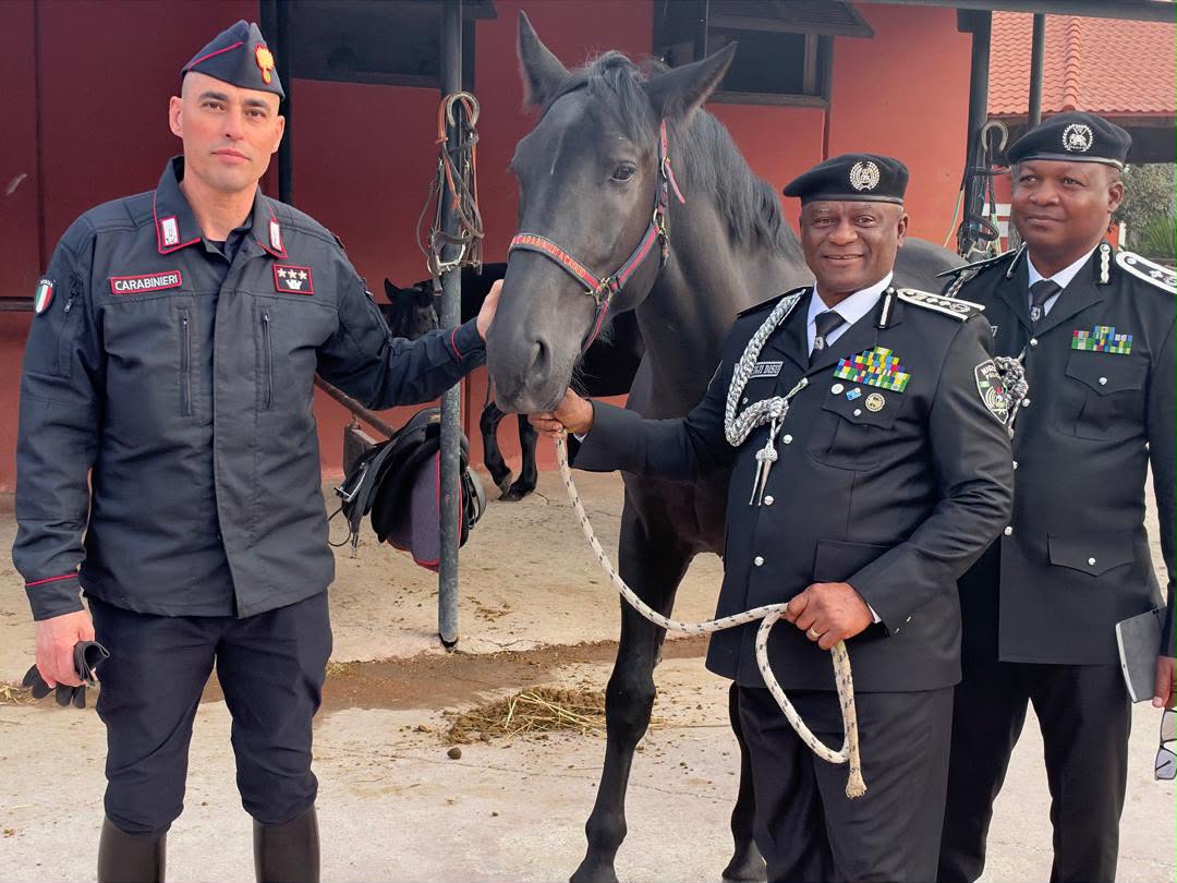 IGP Disu seeks Italian partnership to train 5,000 police officers
