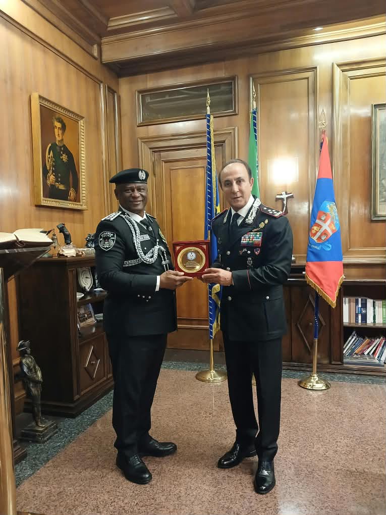 IGP Disu seeks Italian partnership to train 5,000 police officers