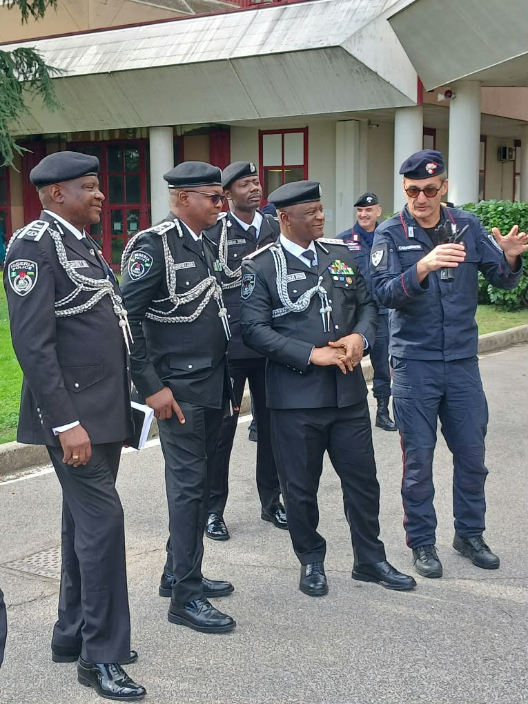 IGP Disu seeks Italian partnership to train 5,000 police officers
